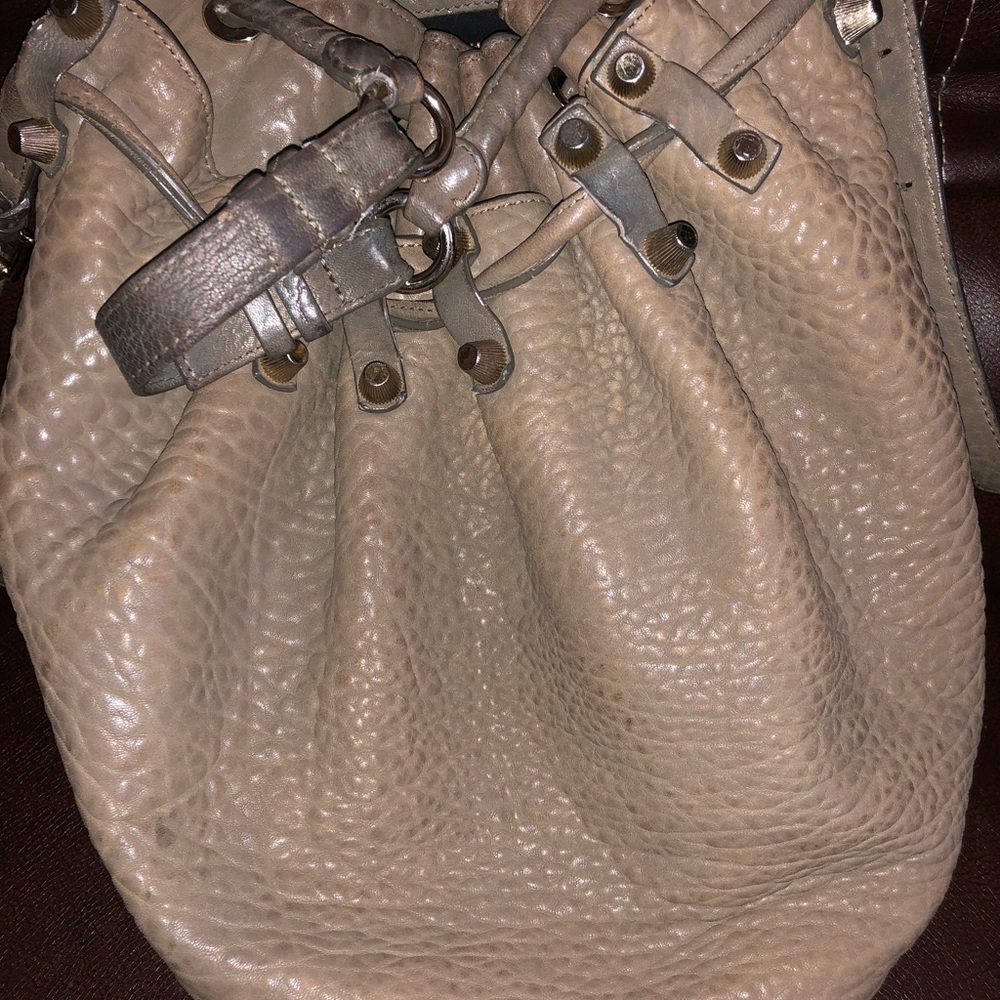 Authentic Alexander Wang Diego Bucket Bag